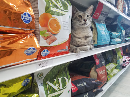 Pet Supply Store «The Pet Beastro», reviews and photos, 27637 John R Rd, Madison Heights, MI 48071, USA