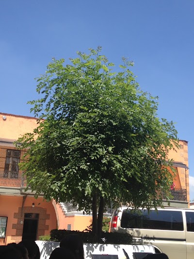 Photos of Universidad la Salle de Pachuca