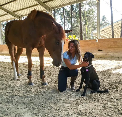 Horse riding nearby Oporto