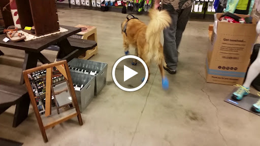 Outdoor Sports Store «Summit Hut», reviews and photos, 5251 E Speedway Blvd, Tucson, AZ 85712, USA