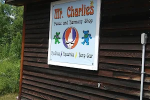 Mr. Charlies Hippie Shop image