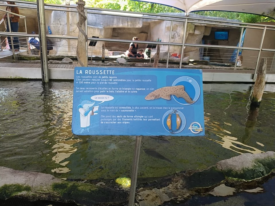 Photo n° 47 de l'avis de Phil. fait le 29/08/2022 à 17:36
