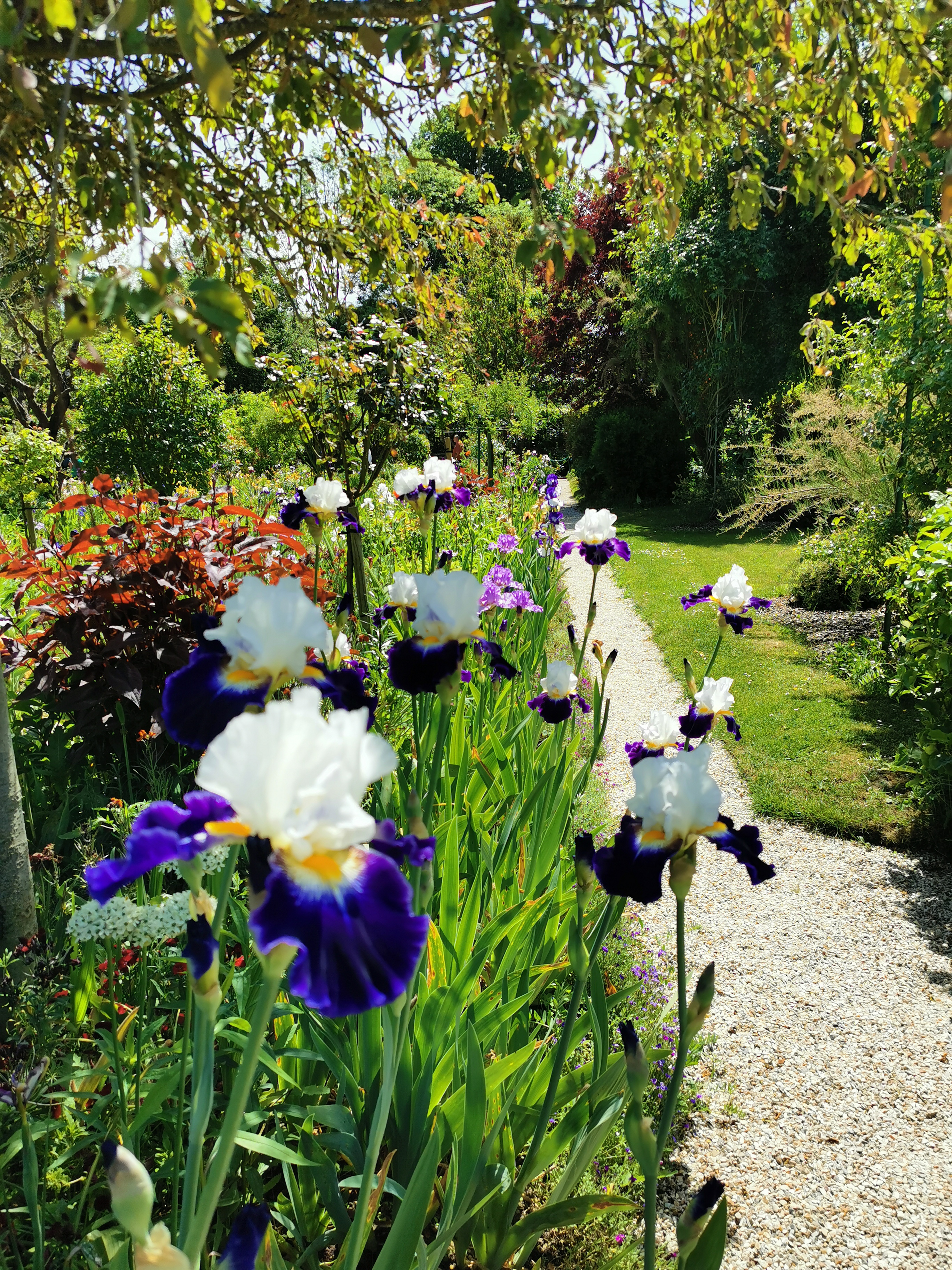 Photo n° 1 de l'avis de Laure.o fait le 14/05/2022 à 17:54