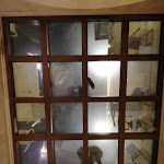 Photo n°4 de l'avis de Pasquale.i fait le 08/06/2021 à 22:20 sur le  Gusto Primitivo à Manduria