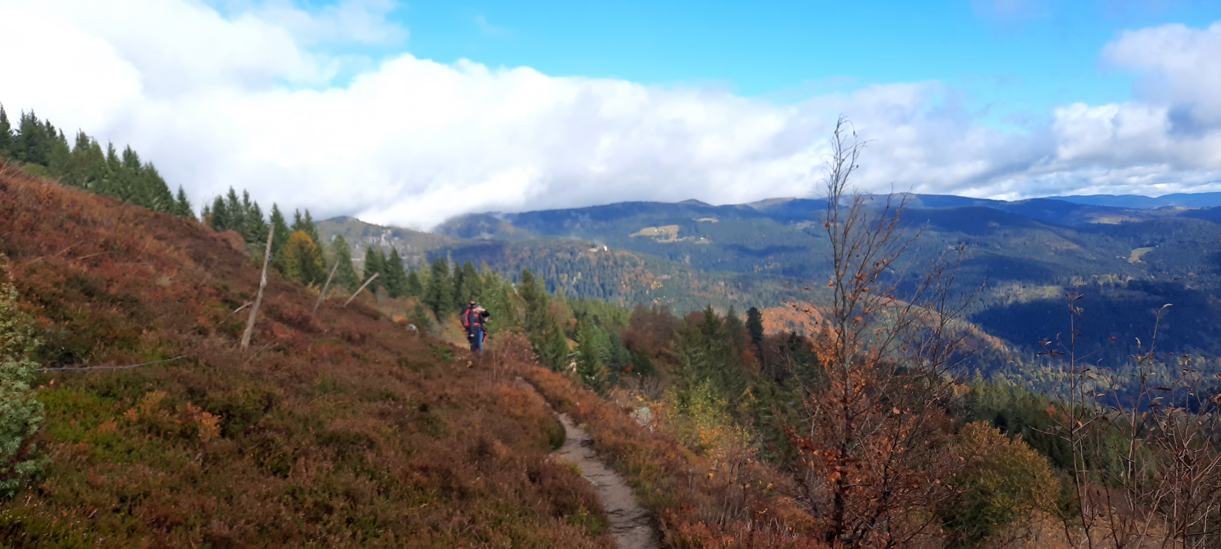 Photo n° 1 de l'avis de Claude.h fait le 24/10/2020 à 14:19