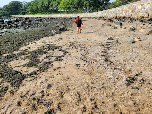 Park «Stage Fort Park», reviews and photos, 24 Hough Ave, Gloucester, MA 01930, USA