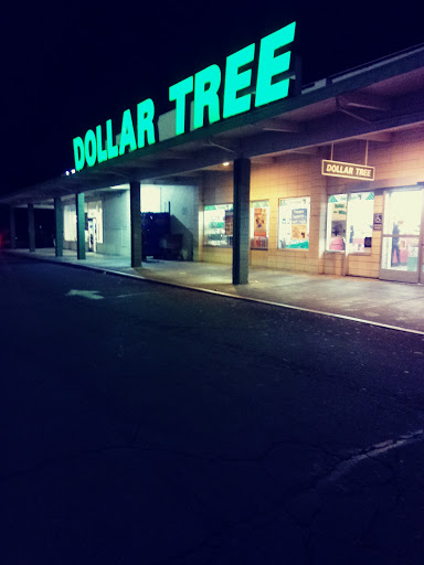 Dollar Store «Dollar Tree», reviews and photos, 1305 S Main St, Lakeport, CA 95453, USA