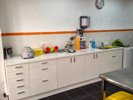 Animalets Consultorio Veterinario en Castellón de la Plana
