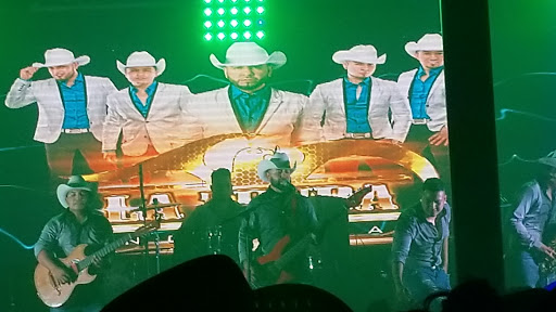 Night Club «El Bravo Night Club», reviews and photos, 8412 S Gessner Rd, Houston, TX 77074, USA