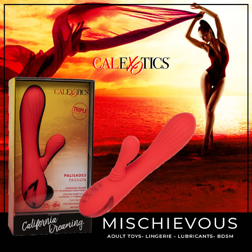 Adult Entertainment Store «Mischievous», reviews and photos, 559 300 W, Salt Lake City, UT 84101, USA