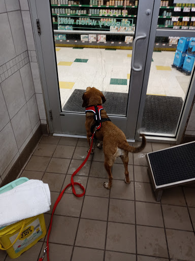 Pet Supply Store «Pet Supplies Plus», reviews and photos, 31029 Harper Ave, St Clair Shores, MI 48082, USA