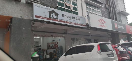 House of Cat