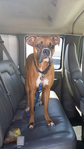 Pet Supply Store «Pet Supplies Plus», reviews and photos, 42241 Garfield Rd, Charter Twp of Clinton, MI 48038, USA