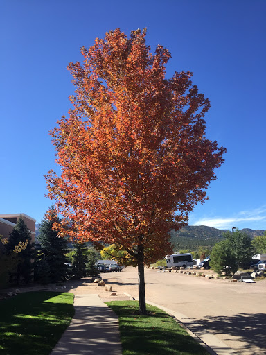 Hiking Area «Seven Falls», reviews and photos, 6 Lake Ave, Colorado Springs, CO 80906, USA