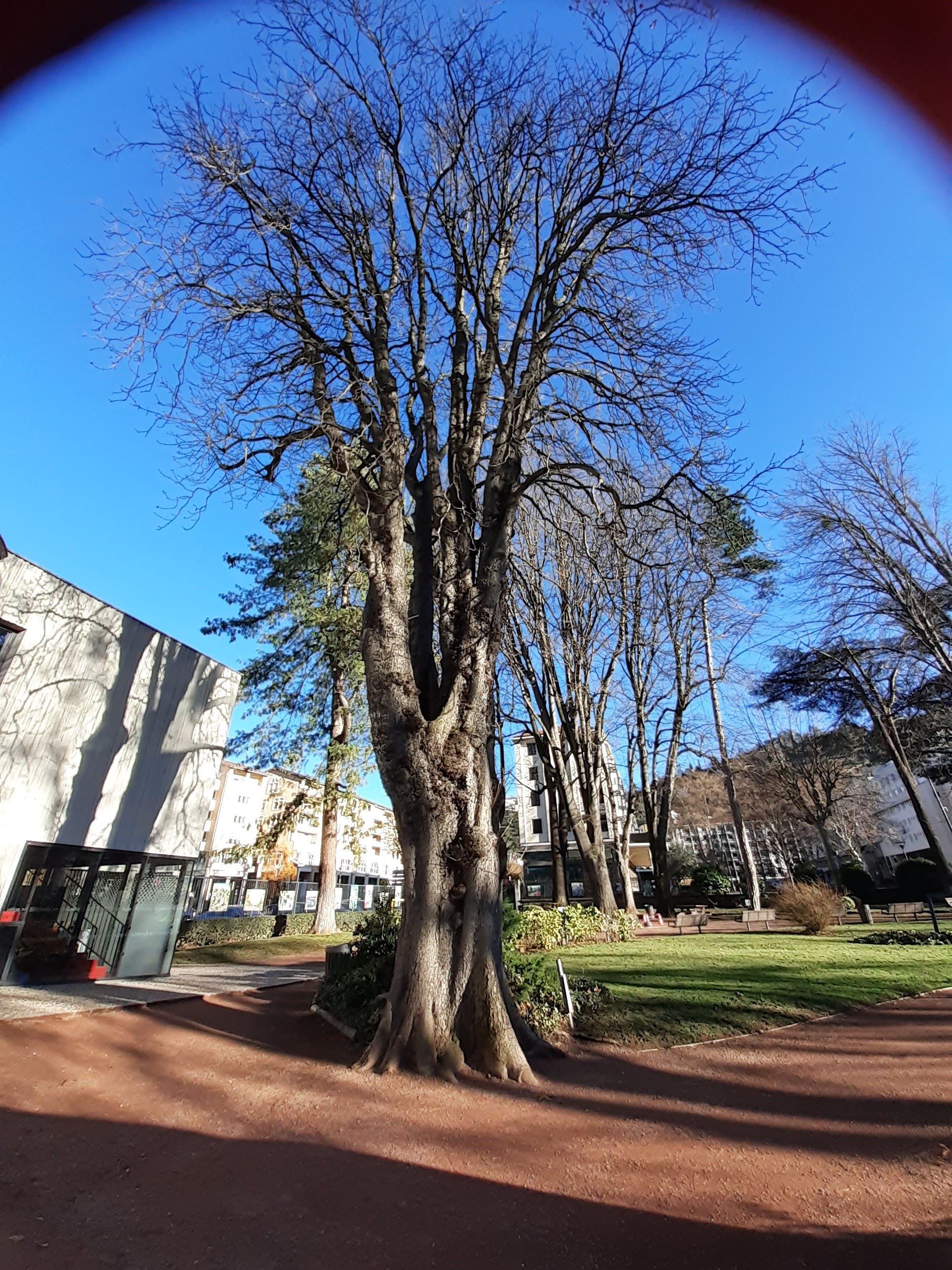 Photo n° 1 de l'avis de muriel.o fait le 31/03/2019 à 17:28
