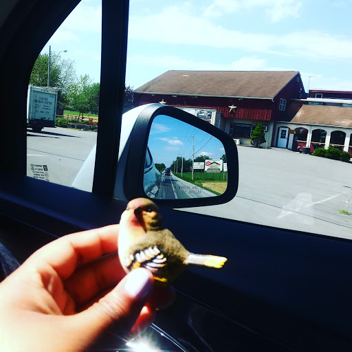 Amish Furniture Store «Peaceful Valley Furniture», reviews and photos, 3172 Old Philadelphia Pike, Bird in Hand, PA 17505, USA