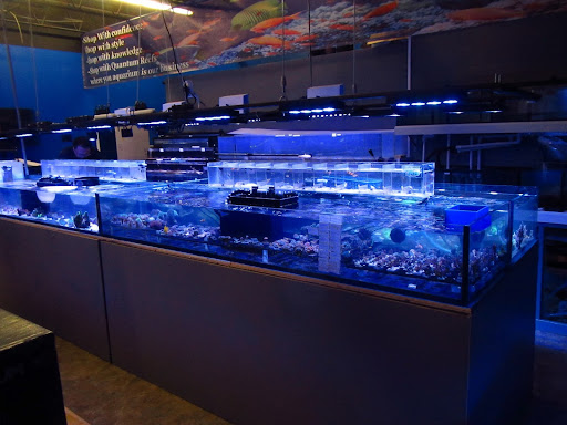 Tropical Fish Store «Quantum Reefs», reviews and photos, 7025 Brookfield Plaza, Springfield, VA 22150, USA