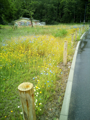 Zone d'activité du Warndt ParK à Creutzwald