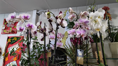 Les Floralies Sarl à Saumur