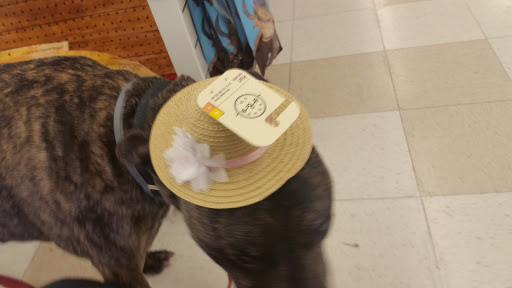 Pet Supply Store «Petco Animal Supplies», reviews and photos, 12163 Sheridan Blvd, Broomfield, CO 80020, USA