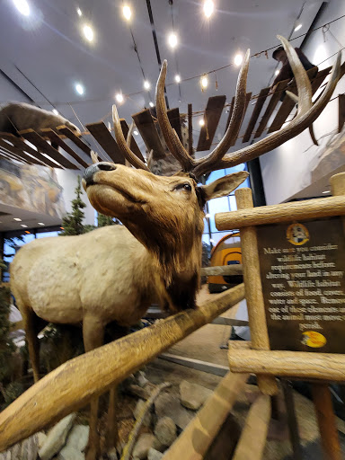 Sporting Goods Store «Bass Pro Shops», reviews and photos, 300 Cincinnati Mills Dr, Cincinnati, OH 45240, USA