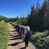 Seaport Strollers Outporter'S Picnic Tours Logo, Tweeling, Canada, Travel Agency