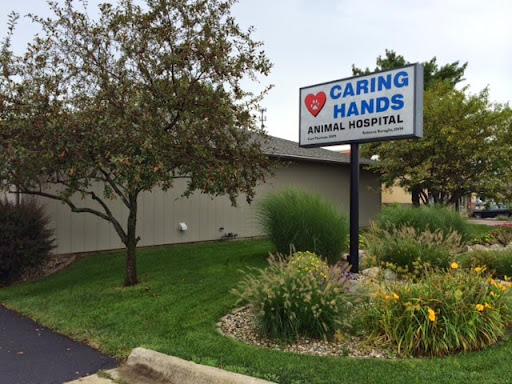 Caring Hands Animal Hospital: Buraglio Rebecca DVM image