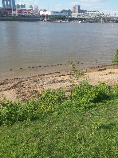 Park «George Rogers Clark Park», reviews and photos, 219 Riverside Dr, Covington, KY 41011, USA