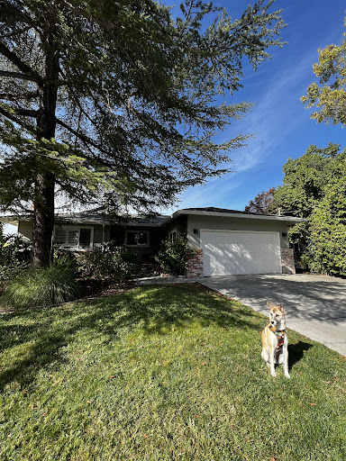 Cush Real Estate image