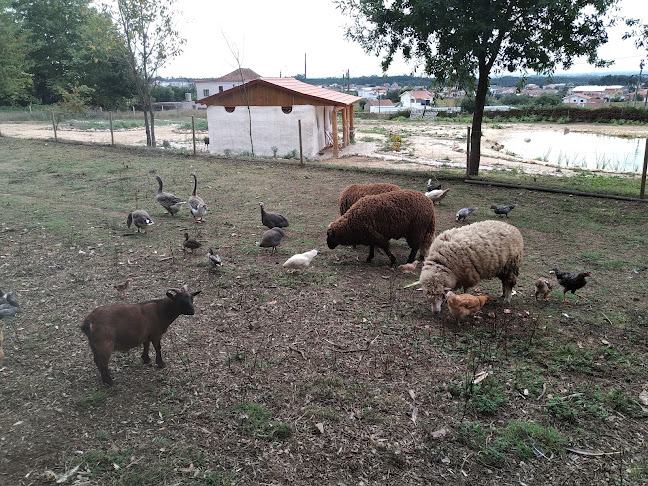 Comentários e avaliações sobre o Quinta das Relvas