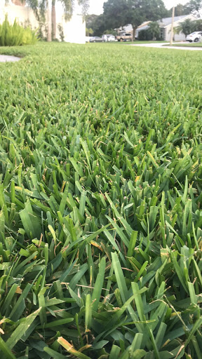 Mortgage Lender «Albert Franco; Wells Fargo Home Mortgage NMLS#871896», reviews and photos