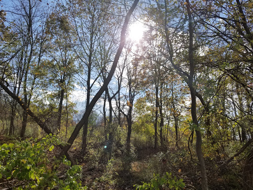 Car Repair and Maintenance «Midas», reviews and photos, 920 Route 46 East, Kenvil, NJ 07847, USA