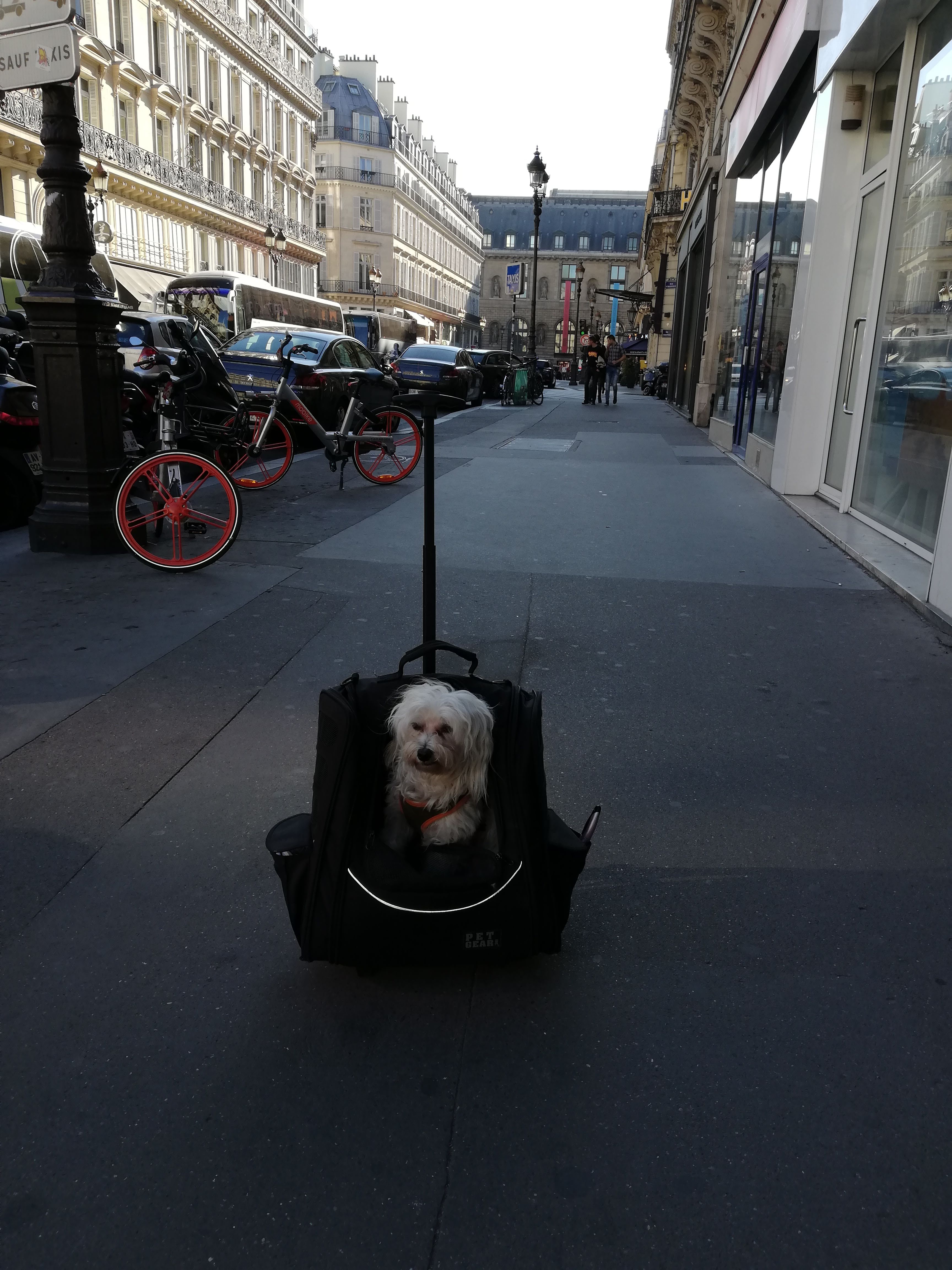 Photo n° 6 de l'avis de Sasha.b fait le 12/10/2018 à 09:29