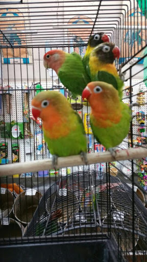 Animal Feed Store «Farmers Feed & Pet Supply», reviews and photos, 1302 E Miner Ave, Stockton, CA 95205, USA