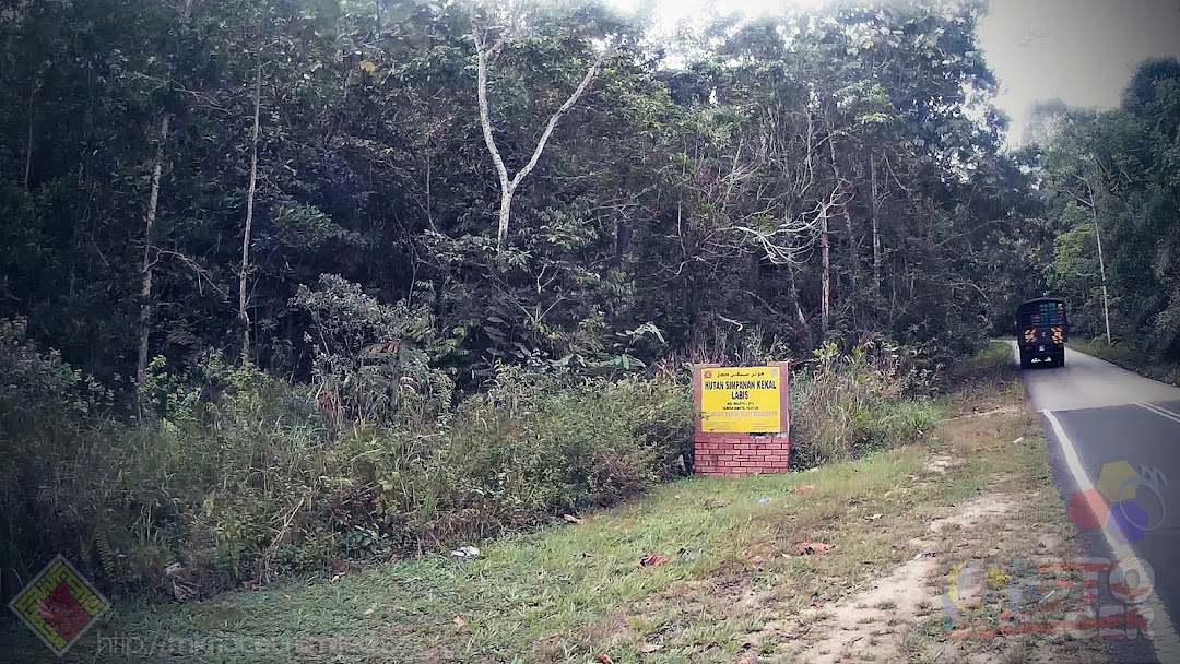 Hutan Simpan Kekal Labis