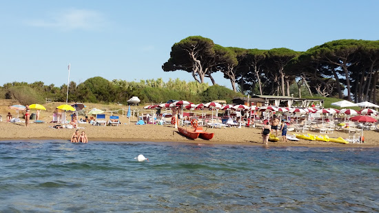 Baratti Plajı
