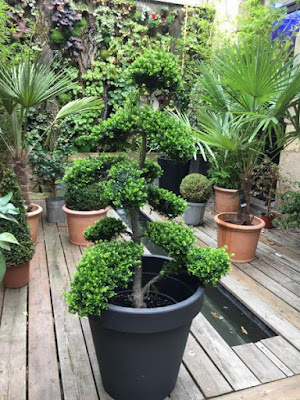 Les Jardins de Saint Pierre à Nevers