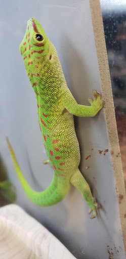 Pet Supply Store «Petco Animal Supplies», reviews and photos, 3577 S Rainbow Blvd, Las Vegas, NV 89103, USA