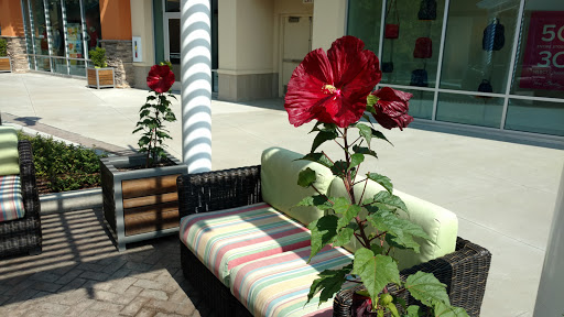 Shopping Mall «Asheville Outlets», reviews and photos, 800 Brevard Rd, Asheville, NC 28806, USA