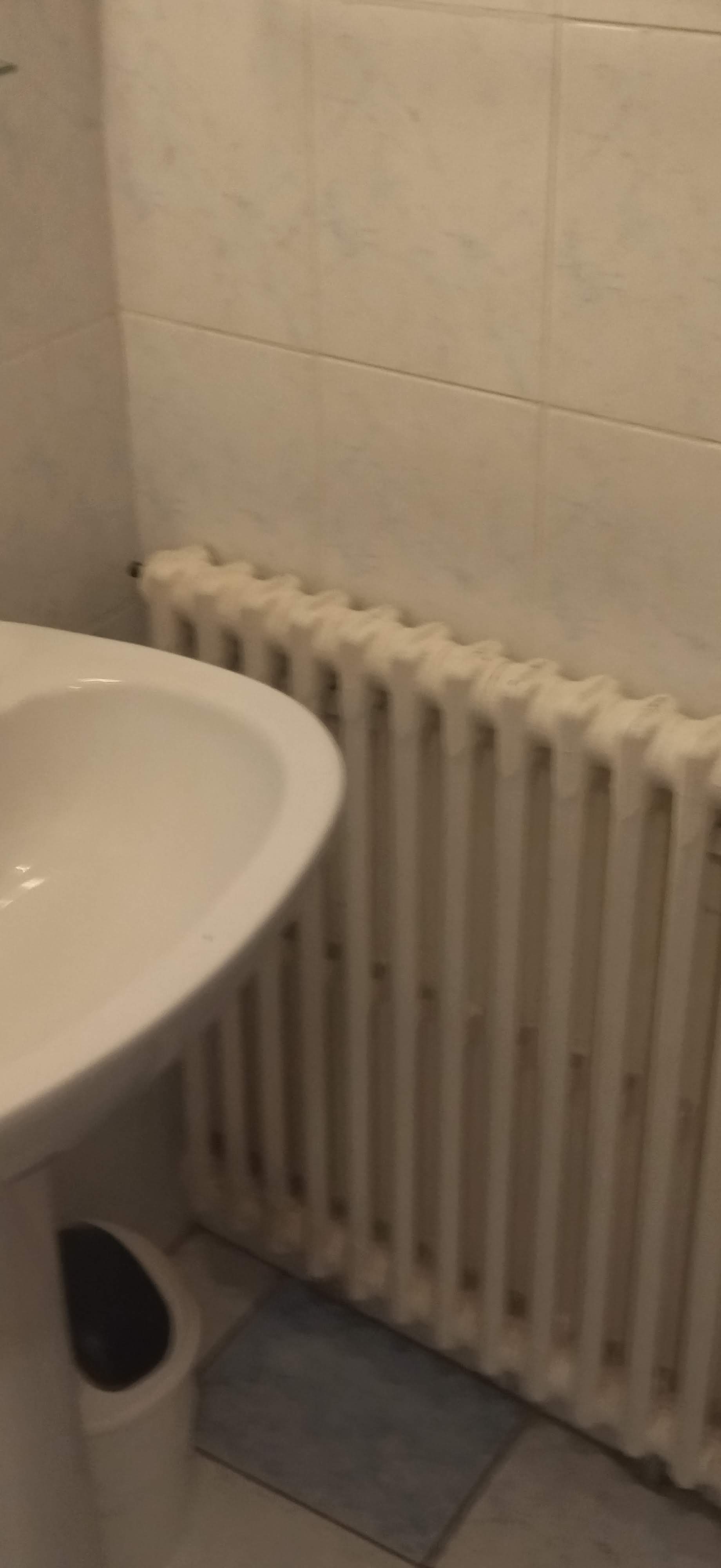 Photo n° 5 de l'avis de Titi. fait le 24/10/2022 à 19:46