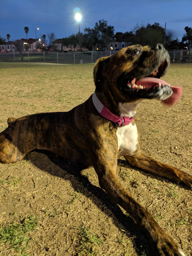 Park «Crossed Arrows Park», reviews and photos, 6102 E Acoma Dr, Scottsdale, AZ 85254, USA