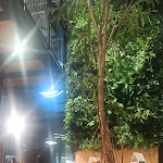 Photo n°2 de l'avis de Alberta.a fait le 20/12/2021 à 22:14 sur le  That's Vapore City Life à Milan