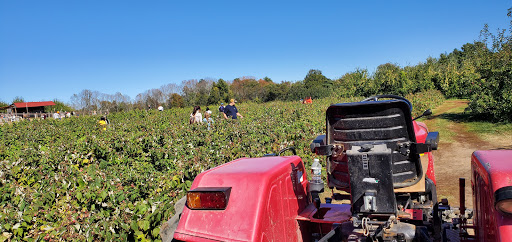 Orchard «Applecrest Farm Orchards», reviews and photos, 133 Exeter Rd, Hampton Falls, NH 03844, USA