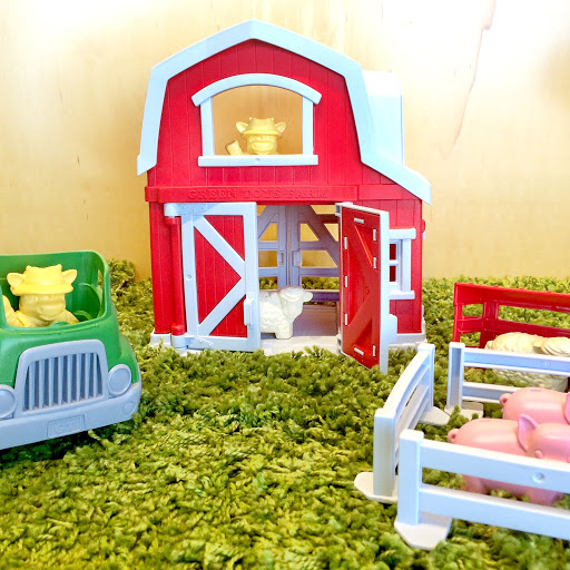 Childrens Store «The Little Seedling», reviews and photos, 2121 W Stadium Blvd, Ann Arbor, MI 48103, USA