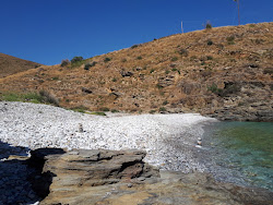 Sarolimeni beach'in fotoğrafı vahşi alan