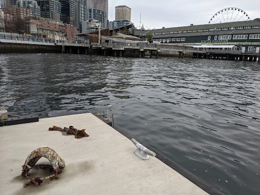 Gift Shop «Seattle Aquarium Gift Store», reviews and photos, 1483 Alaskan Way, Seattle, WA 98101, USA