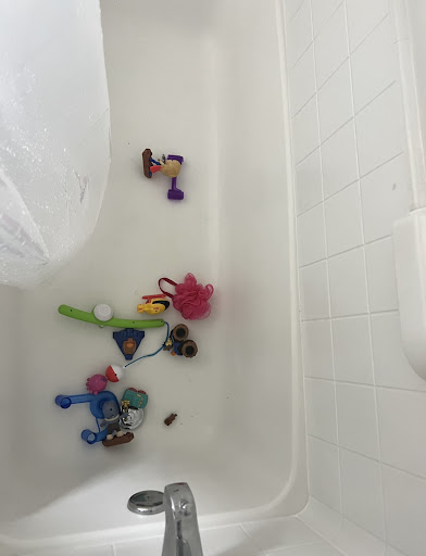 House Cleaning Service «MOLLY MAID of SE Davidson & Rutherford Counties», reviews and photos, 661 Fitzhugh Blvd #137, Smyrna, TN 37167, USA