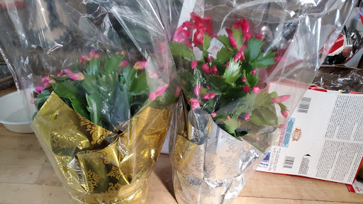 Supermarket «ALDI», reviews and photos, 908 NY-13, Cortland, NY 13045, USA