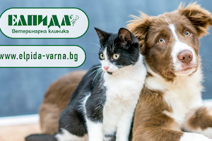 Veterinary office "Elpida" image