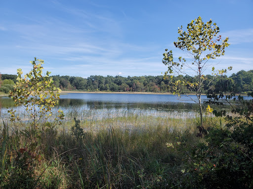Pine Knob County Park